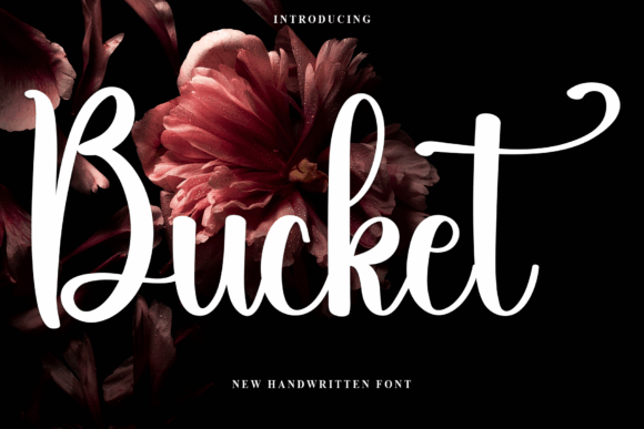 Bucket: A Stylish Handwritten Font for Real Business Branding